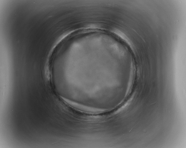 X0000103250925200809181601