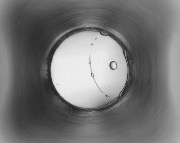 X0000103250926200809181601