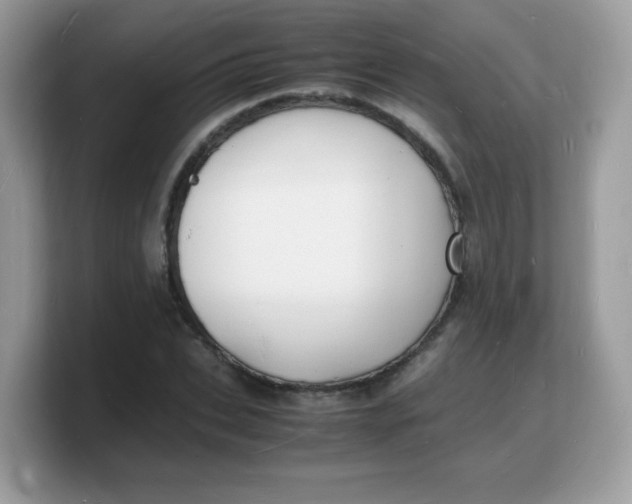 X0000103250927200809181601
