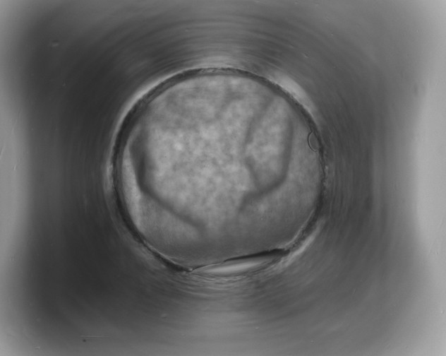 X0000103250928200809181601