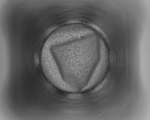 X0000103250929200809181601