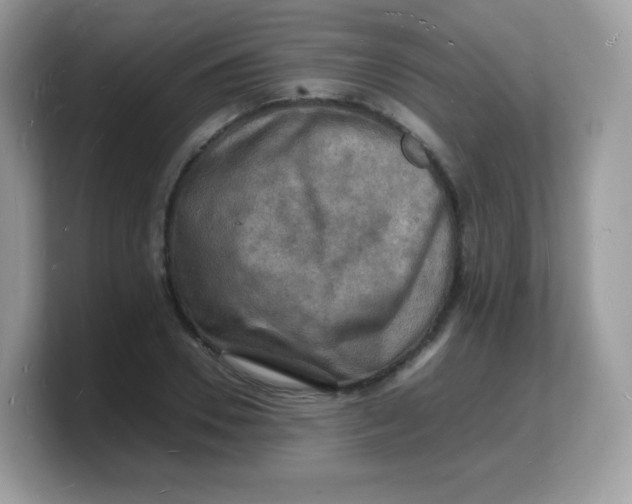 X0000103250930200809181601