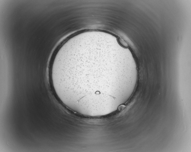 X0000103250932200809181601