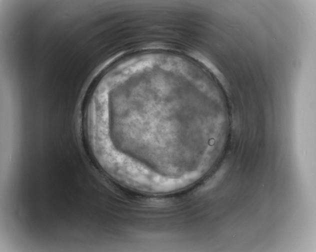 X0000103250933200809181601