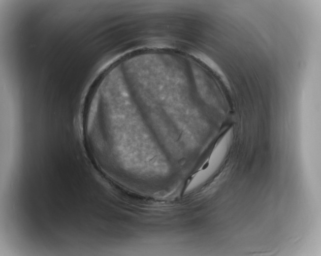 X0000103250935200809181601