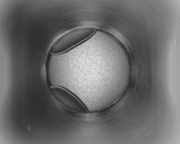 X0000103250936200809181601