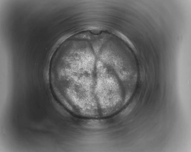 X0000103250938200809181601