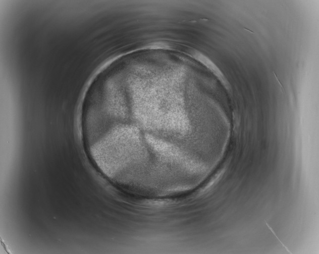 X0000103250939200809181601
