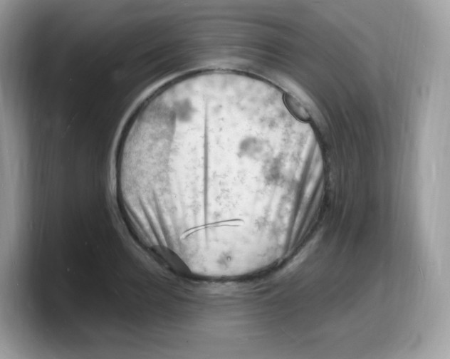 X0000103250940200809181601