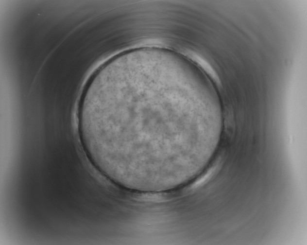 X0000103250944200809181601