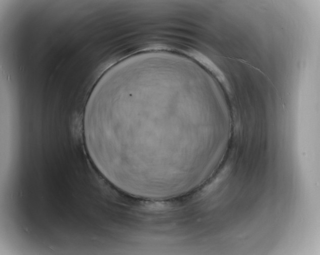 X0000103250945200809181601