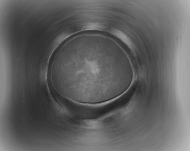 X0000103250946200809181601
