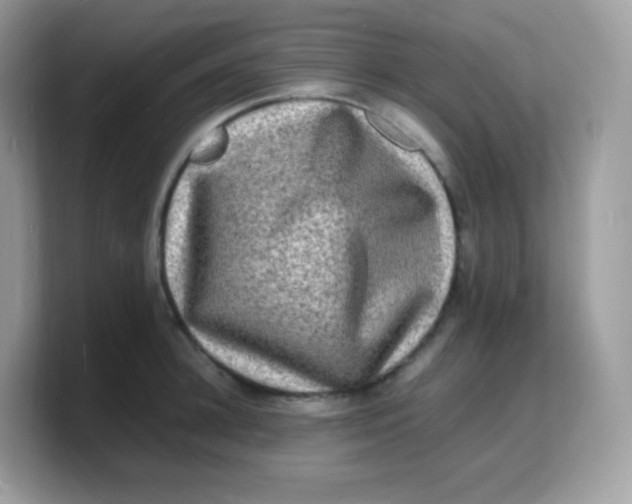 X0000103250948200809181601