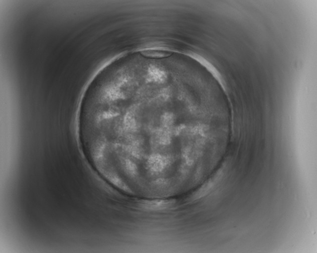 X0000103250949200809181601