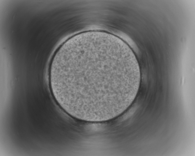 X0000103250950200809181601