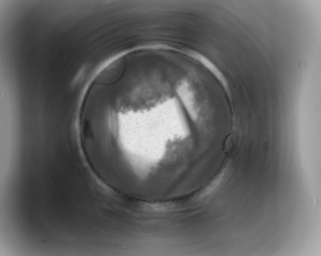X0000103250951200809181601