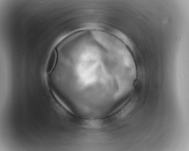 X0000103250952200809181601