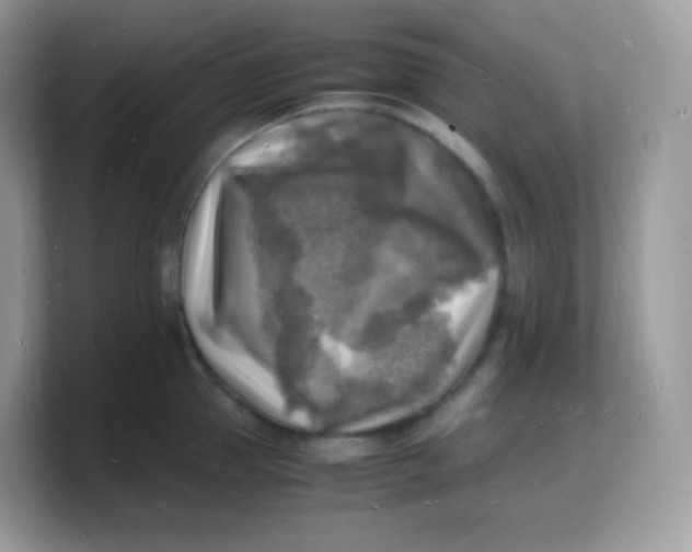 X0000103250953200809181601