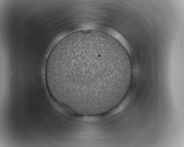 X0000103250954200809181601