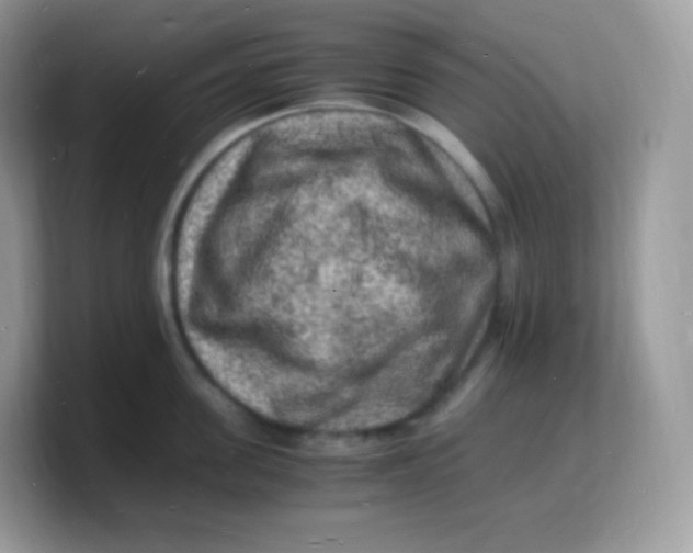 X0000103250955200809181601