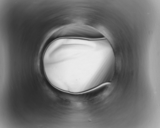 X0000103250956200809181601