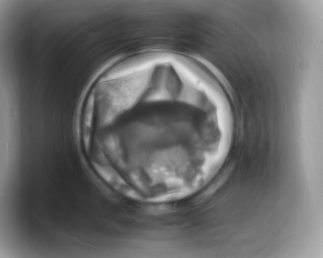 X0000103250957200809181601