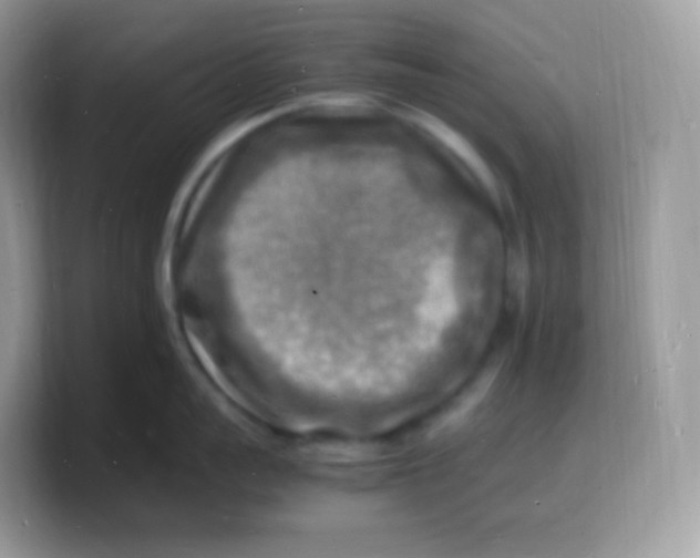 X0000103250959200809181602