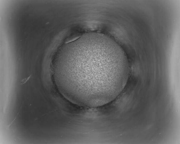 X0000103250961200809181601