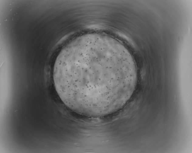 X0000103250968200809181601