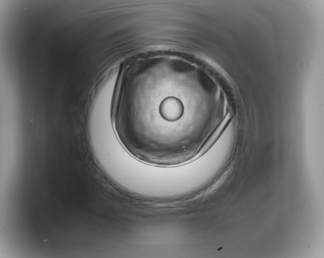 X0000103250969200809181601