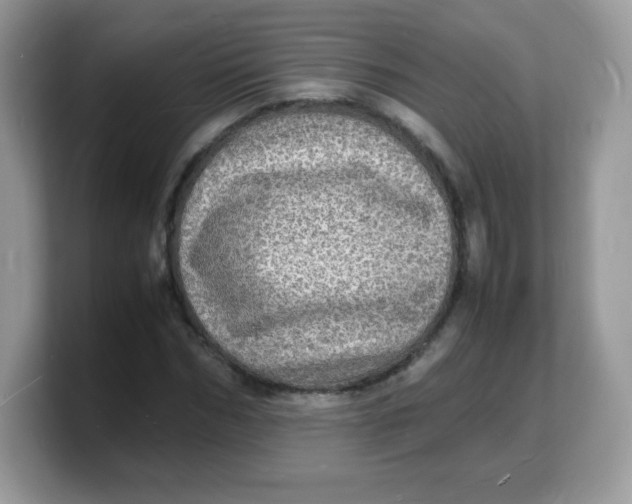X0000103250970200809181601