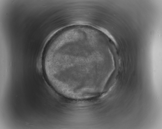 X0000103250972200809181601