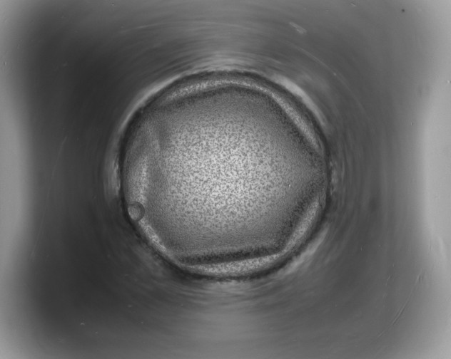 X0000103250973200809181601