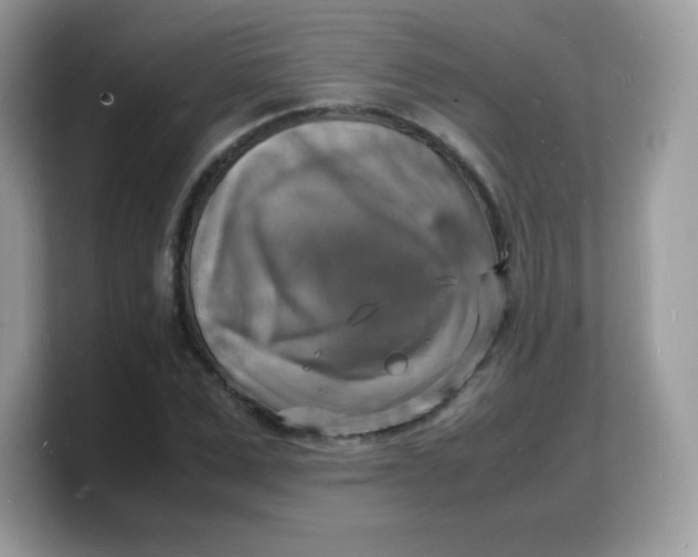 X0000103250975200809181601