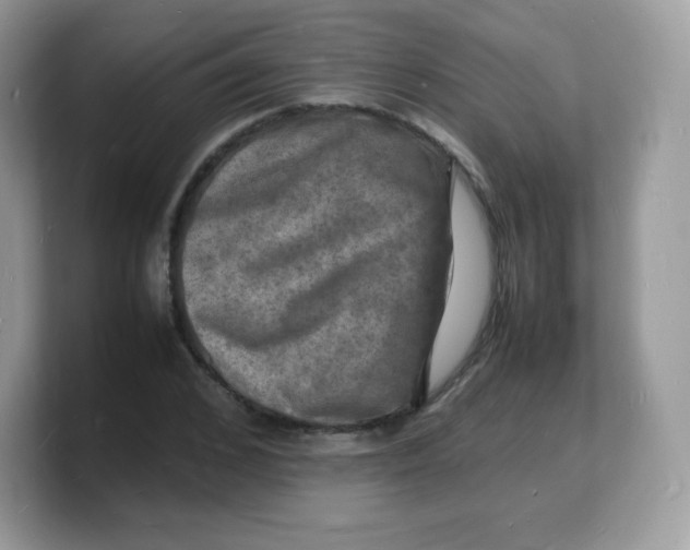 X0000103250976200809181601