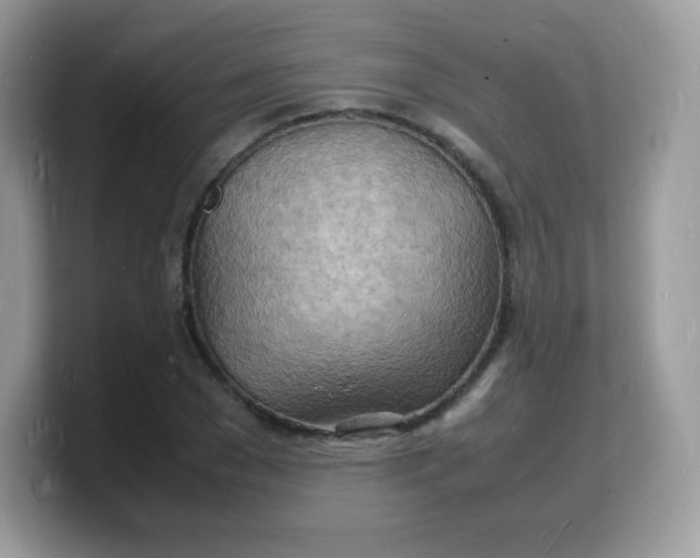 X0000103250977200809181601