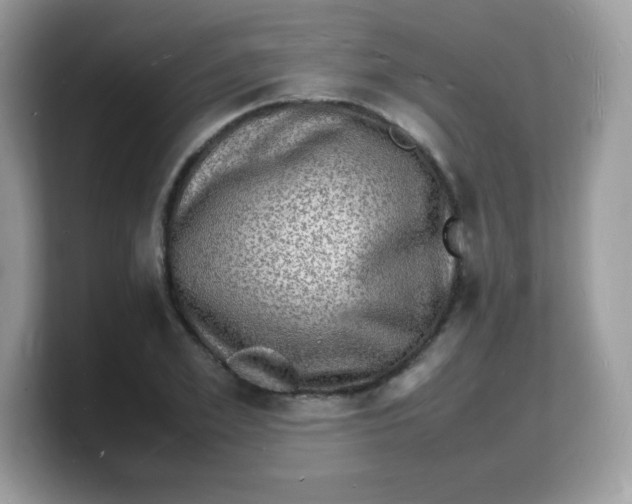 X0000103250981200809181601