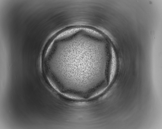 X0000103250982200809181601