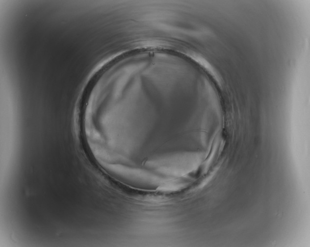 X0000103250983200809181601