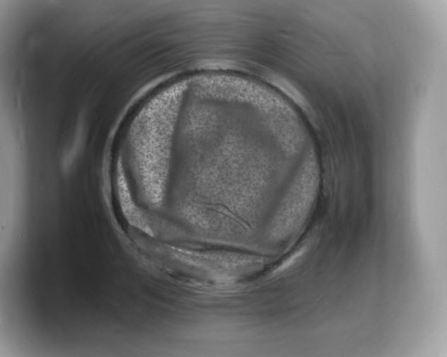 X0000103250984200809181601