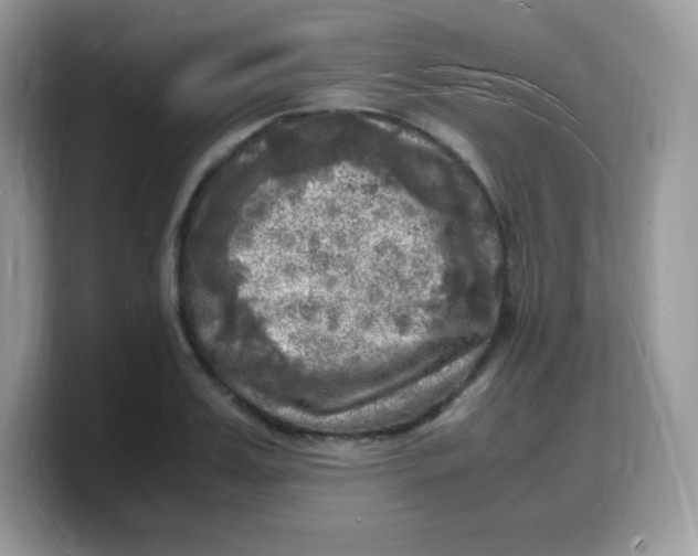 X0000103250987200809181600