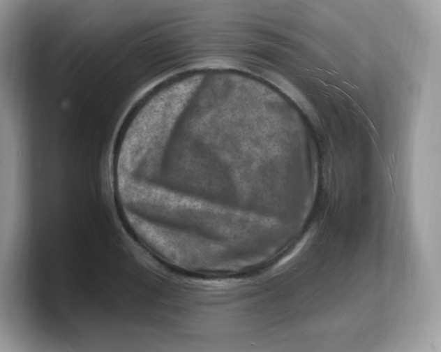 X0000103250988200809181600