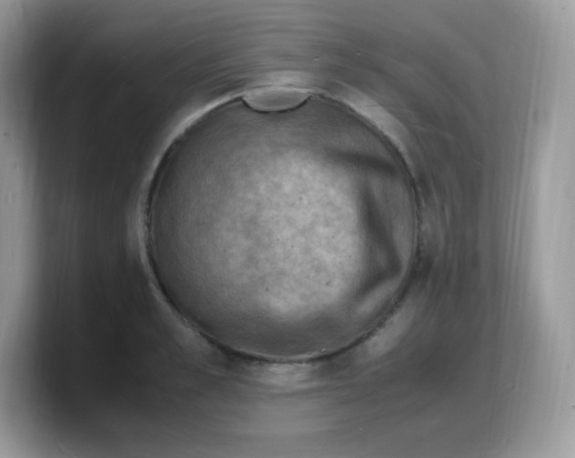 X0000103250989200809181600
