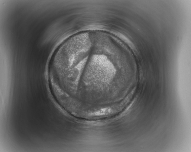 X0000103250990200809181600
