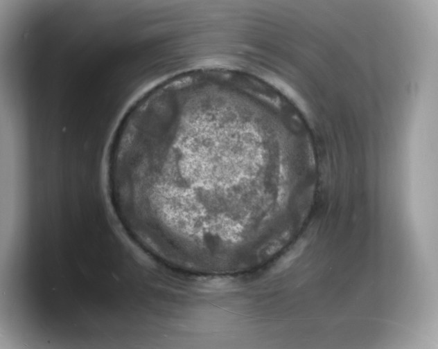 X0000103250991200809181600