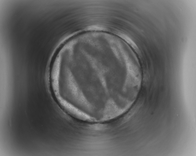 X0000103250992200809181600