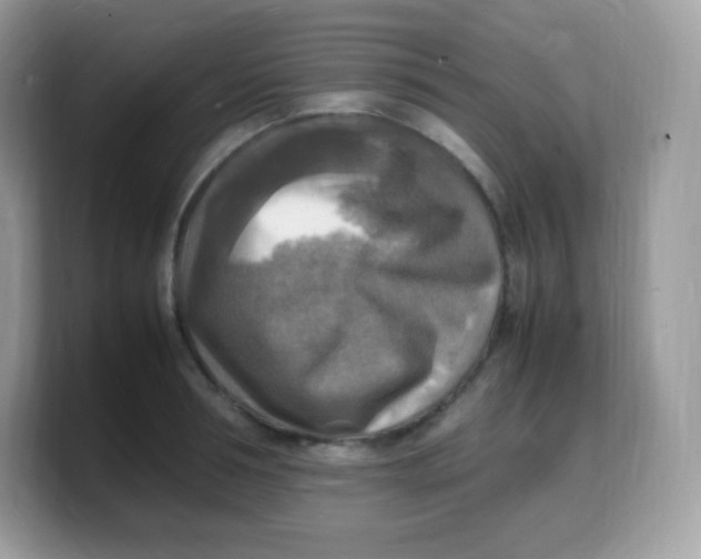 X0000103250994200809181600