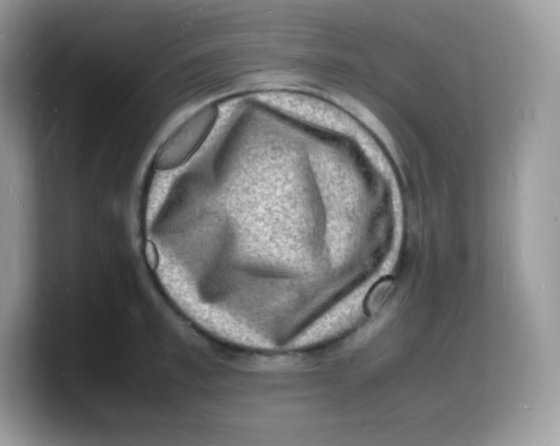 X0000103250997200809181600