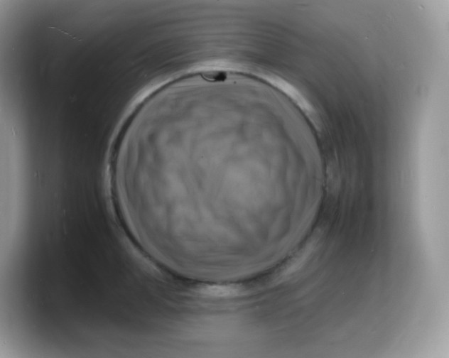 X0000103250998200809181600