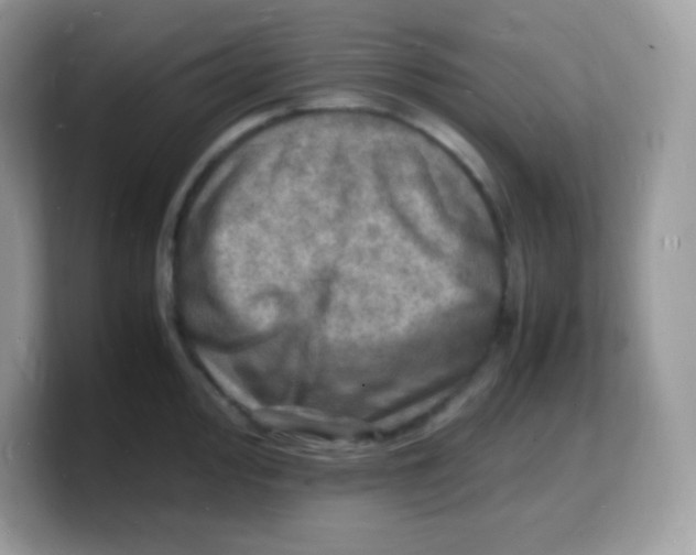 X0000103251000200809181600